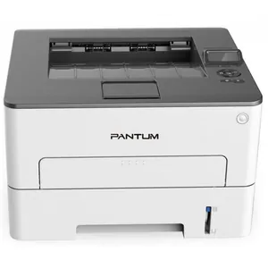 Замена прокладки на принтере Pantum P3300DN в Красноярске
